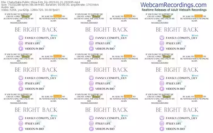 2023/01/21/chaturbate-its_lily-23-29-35