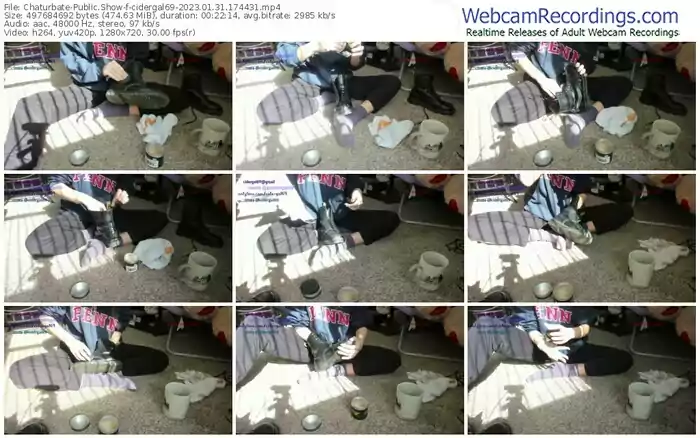 2023/01/31/chaturbate-cidergal69-17-44-31