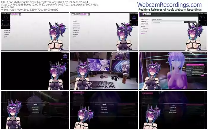 2023/02/13/chaturbate-projektmelody-04-21-52