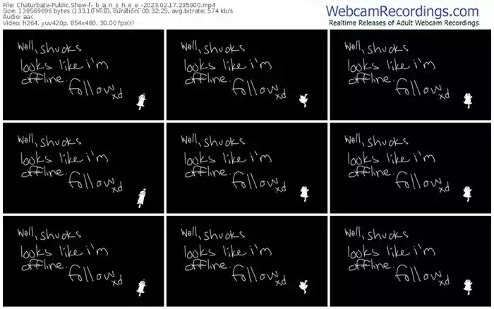 2023/02/17/chaturbate-_b_a_n_s_h_e_e_-23-59-00