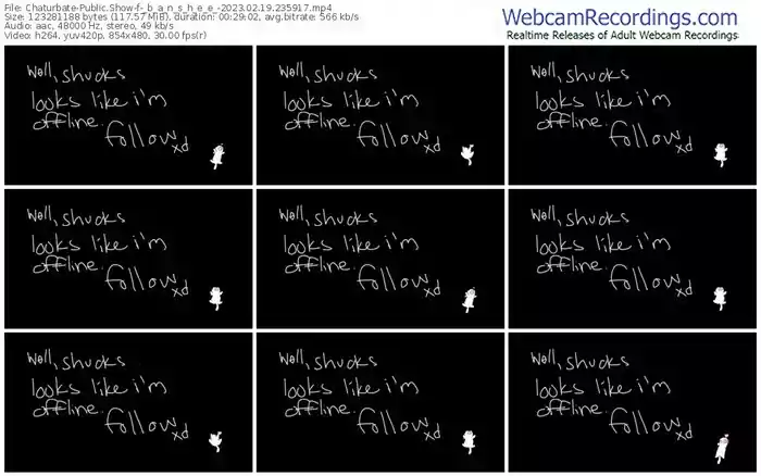 2023/02/19/chaturbate-_b_a_n_s_h_e_e_-23-59-17