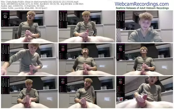 2023/02/23/chaturbate-dominantalex182-13-31-09