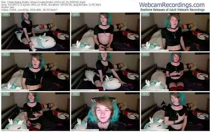 2023/02/25/chaturbate-nami3neko-05-55-32