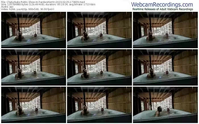2023/02/25/chaturbate-hardworkertn-17-38-09