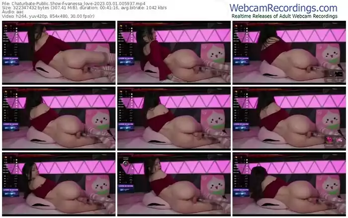 2023/03/01/chaturbate-vanessa_love-00-59-37