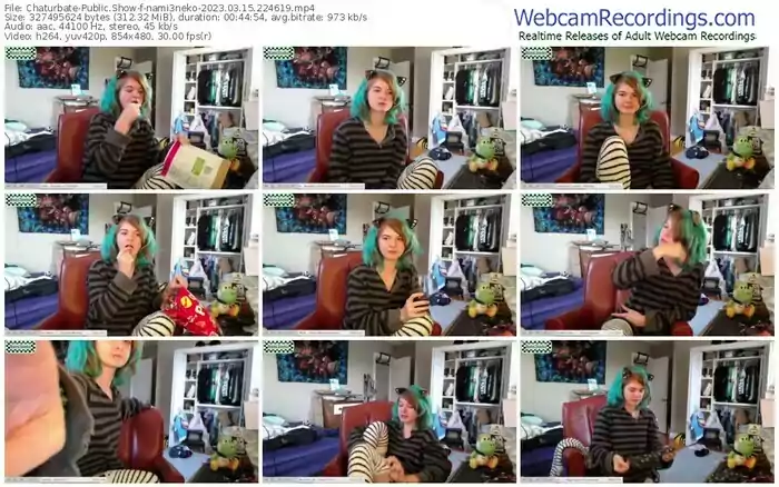 2023/03/15/chaturbate-nami3neko-22-46-19