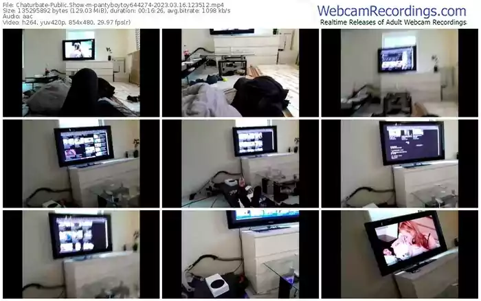 2023/03/16/chaturbate-pantyboytoy644274-12-35-12