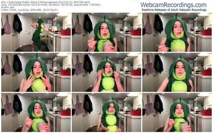 2023/03/31/chaturbate-littlesugarpea-00-27-38