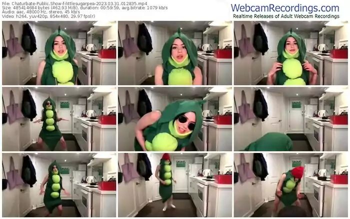 2023/03/31/chaturbate-littlesugarpea-01-28-35