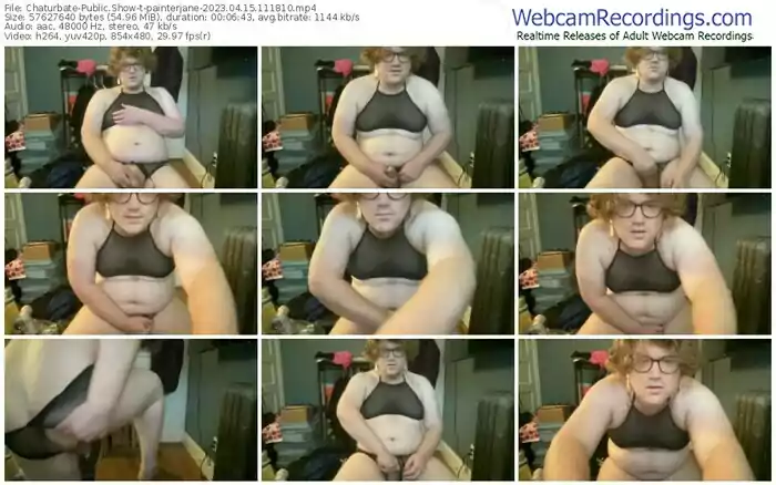 2023/04/15/chaturbate-painterjane-11-18-10