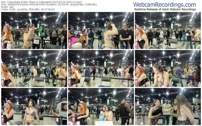 2023/04/23/chaturbate-cidergal69-00-41-13