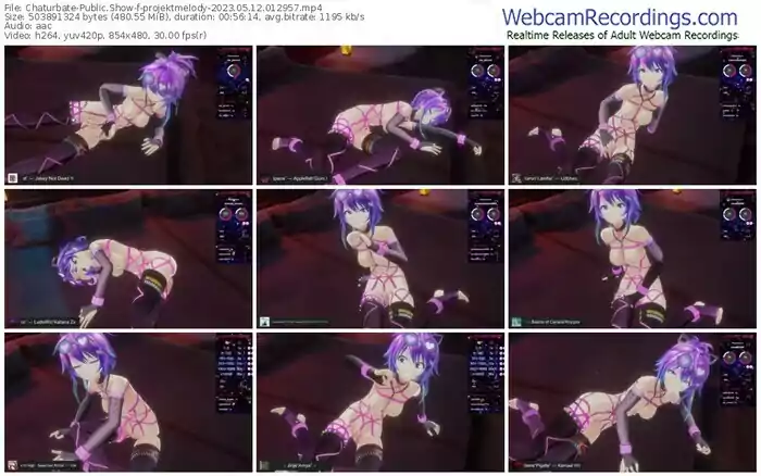 2023/05/12/chaturbate-projektmelody-01-29-57
