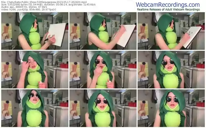 2023/05/17/chaturbate-littlesugarpea-20-24-20