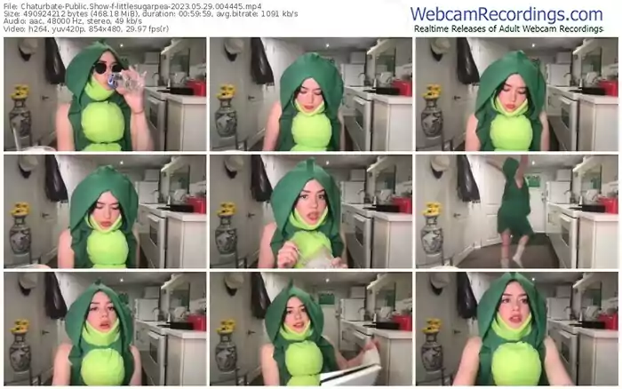 2023/05/29/chaturbate-littlesugarpea-00-44-45
