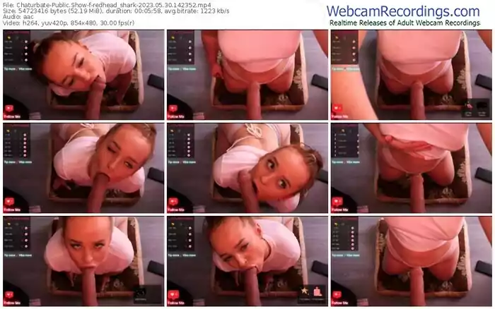 2023/05/30/chaturbate-redhead_shark-14-23-52