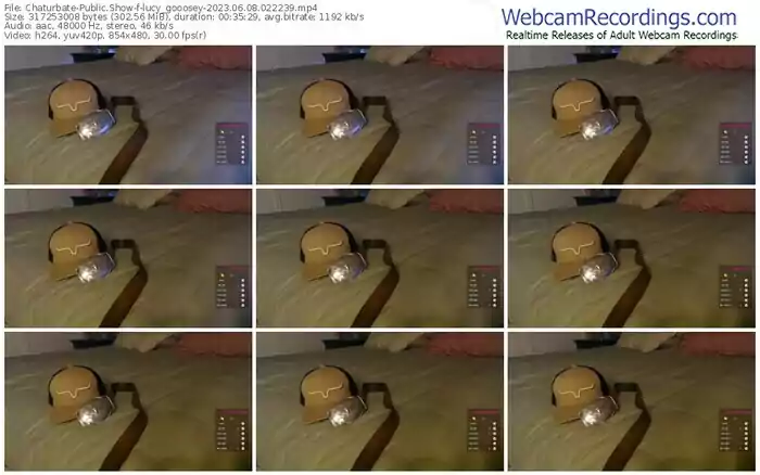 2023/06/08/chaturbate-lucy_gooosey-02-22-39