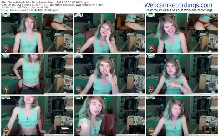 2023/06/15/chaturbate-nami3neko-05-36-13