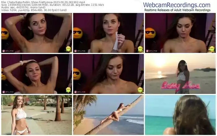 2023/06/26/chaturbate-lettymoa-06-19-02