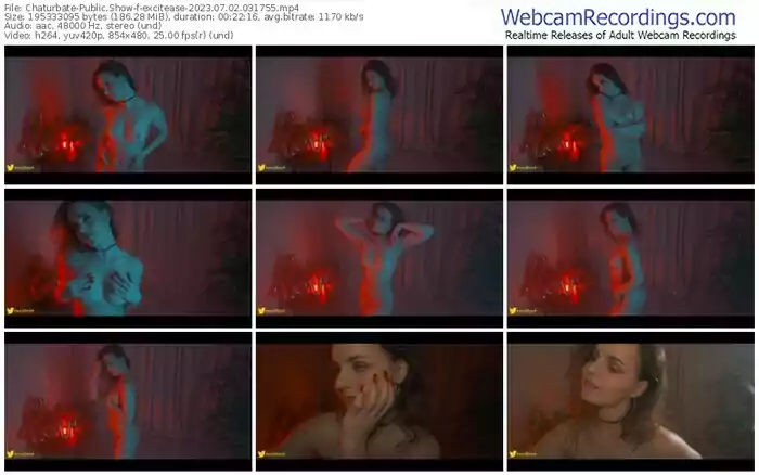 2023/07/02/chaturbate-excitease-03-17-55