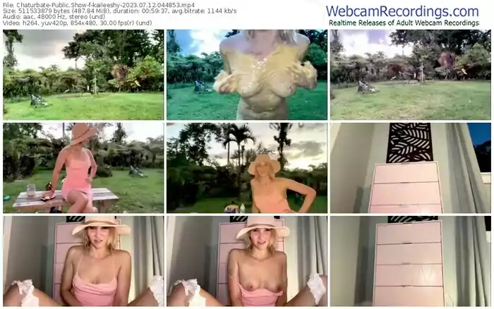 2023/07/12/chaturbate-kaileeshy-04-48-53