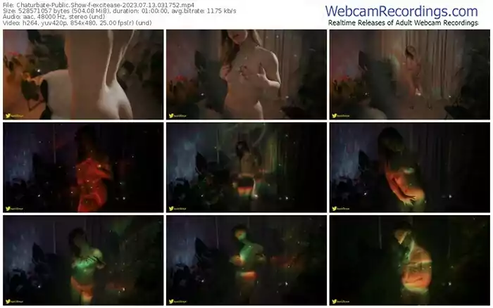 2023/07/13/chaturbate-excitease-03-17-52