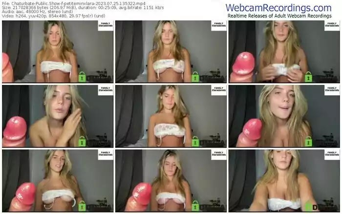 2023/07/25/chaturbate-petiteminxlara-13-53-22