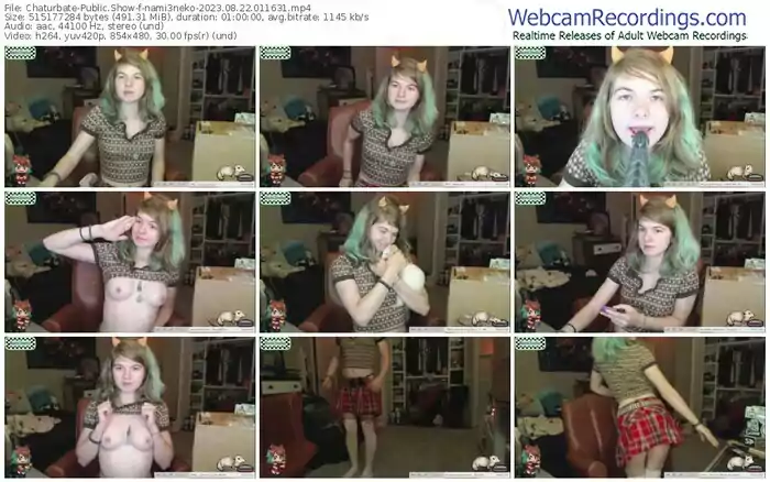 2023/08/22/chaturbate-nami3neko-01-16-31