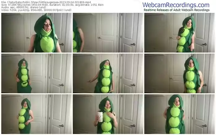 2023/09/04/chaturbate-littlesugarpea-02-18-09
