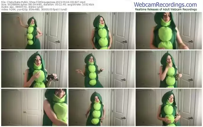 2023/09/04/chaturbate-littlesugarpea-03-18-27