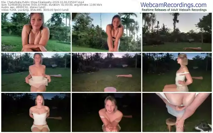 2023/10/06/chaturbate-kaileeshy-03-52-47