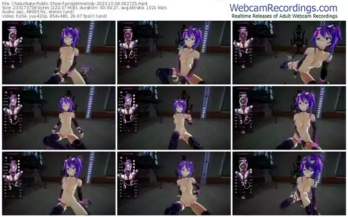 2023/10/08/chaturbate-projektmelody-00-27-25
