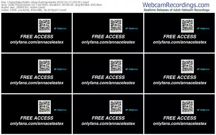 2023/10/17/chaturbate-annaceleste-15-13-11