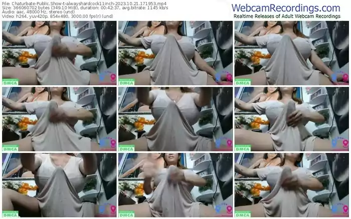 2023/10/21/chaturbate-alwayshardcock11inch-17-19-53