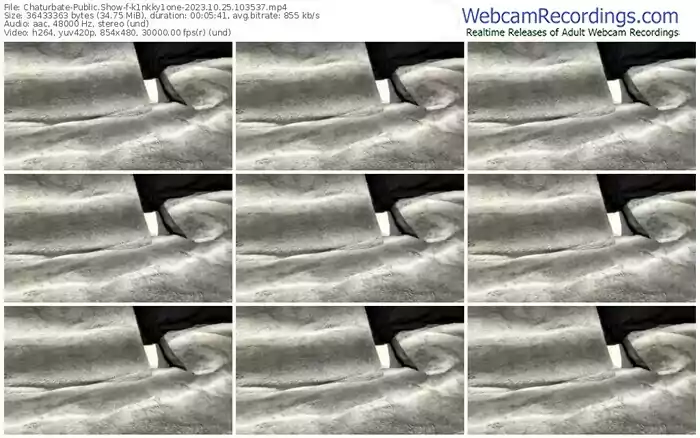 2023/10/25/chaturbate-k1nkky1one-10-35-37
