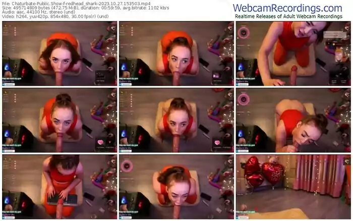 2023/10/27/chaturbate-redhead_shark-15-35-03