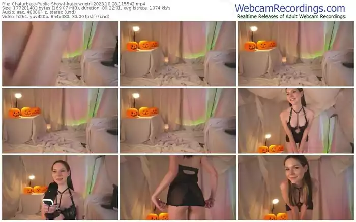 2023/10/28/chaturbate-kateuwugirl-11-55-42