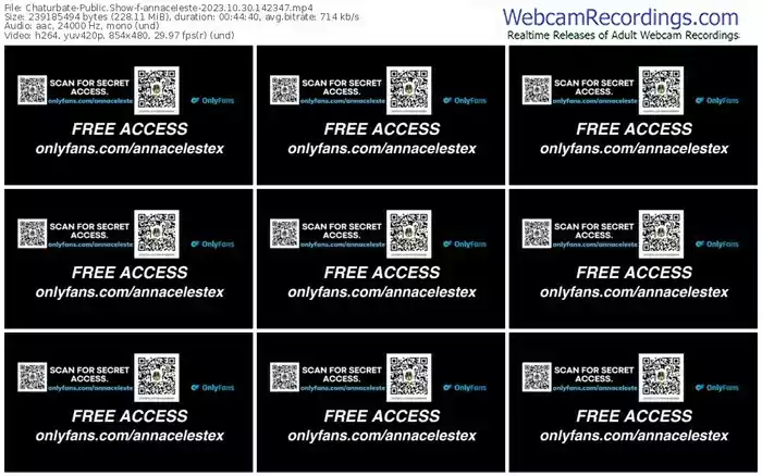 2023/10/30/chaturbate-annaceleste-14-23-47