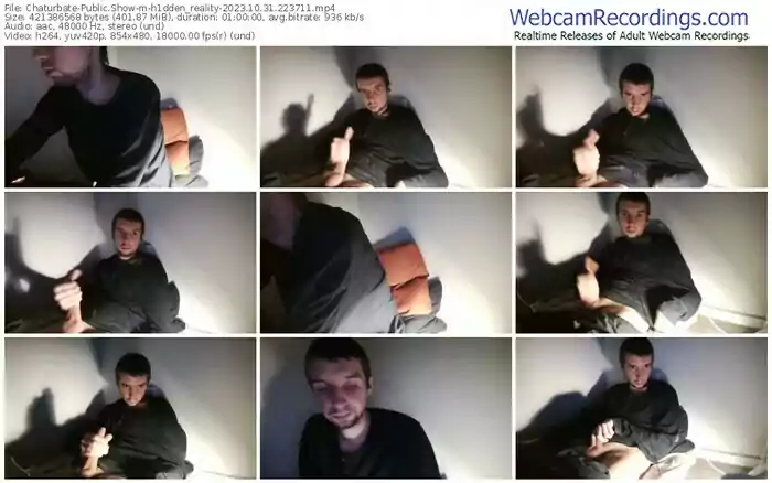 2023/10/31/chaturbate-h1dden_reality-22-37-11
