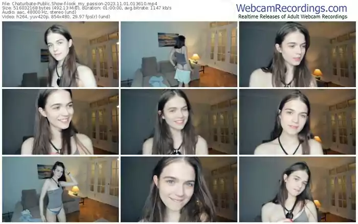 2023/11/01/chaturbate-look_my_passion-01-36-10