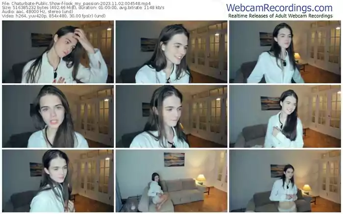 2023/11/02/chaturbate-look_my_passion-00-45-48