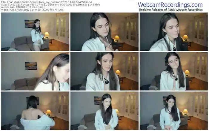 2023/11/02/chaturbate-look_my_passion-01-45-58