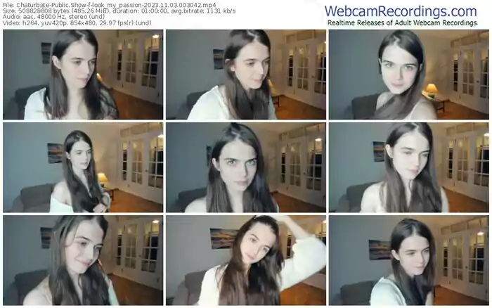 2023/11/03/chaturbate-look_my_passion-00-30-42