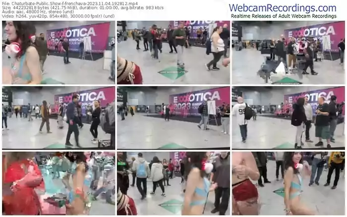 2023/11/04/chaturbate-frenchava-19-28-12