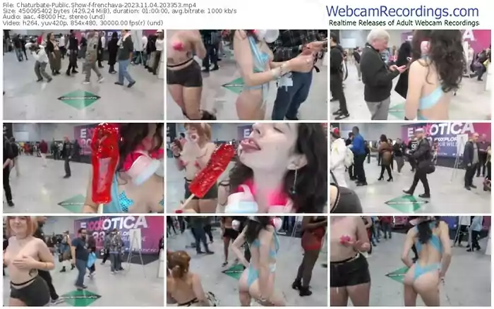 2023/11/04/chaturbate-frenchava-20-33-53