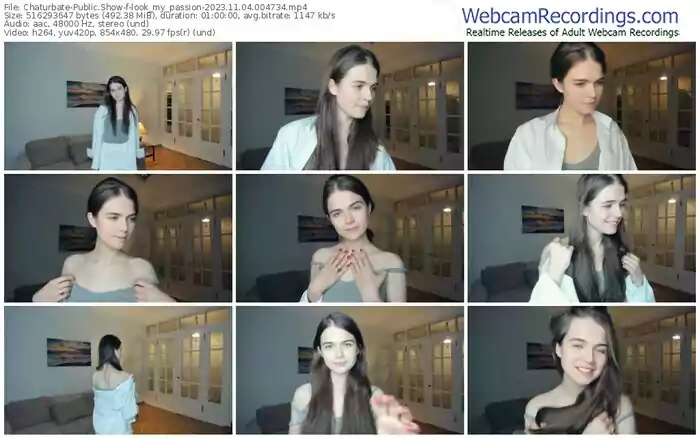 2023/11/04/chaturbate-look_my_passion-00-47-34