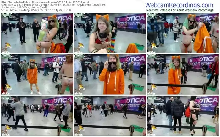 2023/11/04/chaturbate-nami3neko-22-00-22