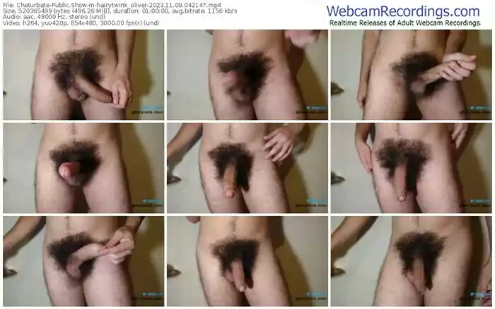 2023/11/09/chaturbate-hairytwink_oliver-04-21-47