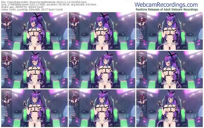 2023/11/13/chaturbate-projektmelody-02-20-56