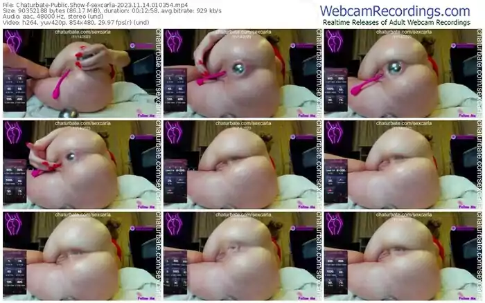 2023/11/14/chaturbate-sexcarla-01-03-54