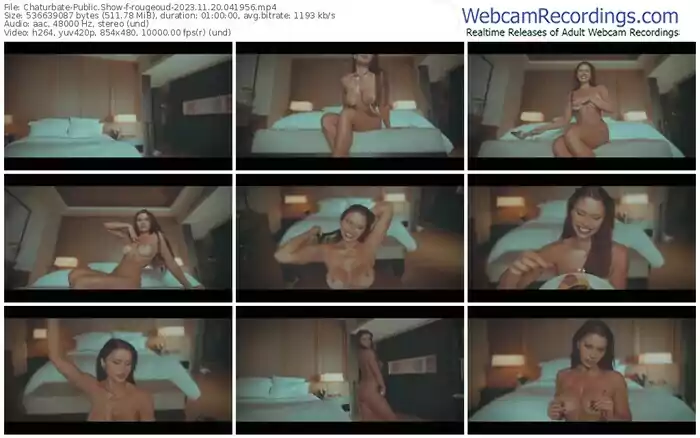 2023/11/20/chaturbate-rougeoud-04-19-56